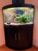 Juwel Trigon Eck-Aquarium 190 Liter mit viel Zubehör