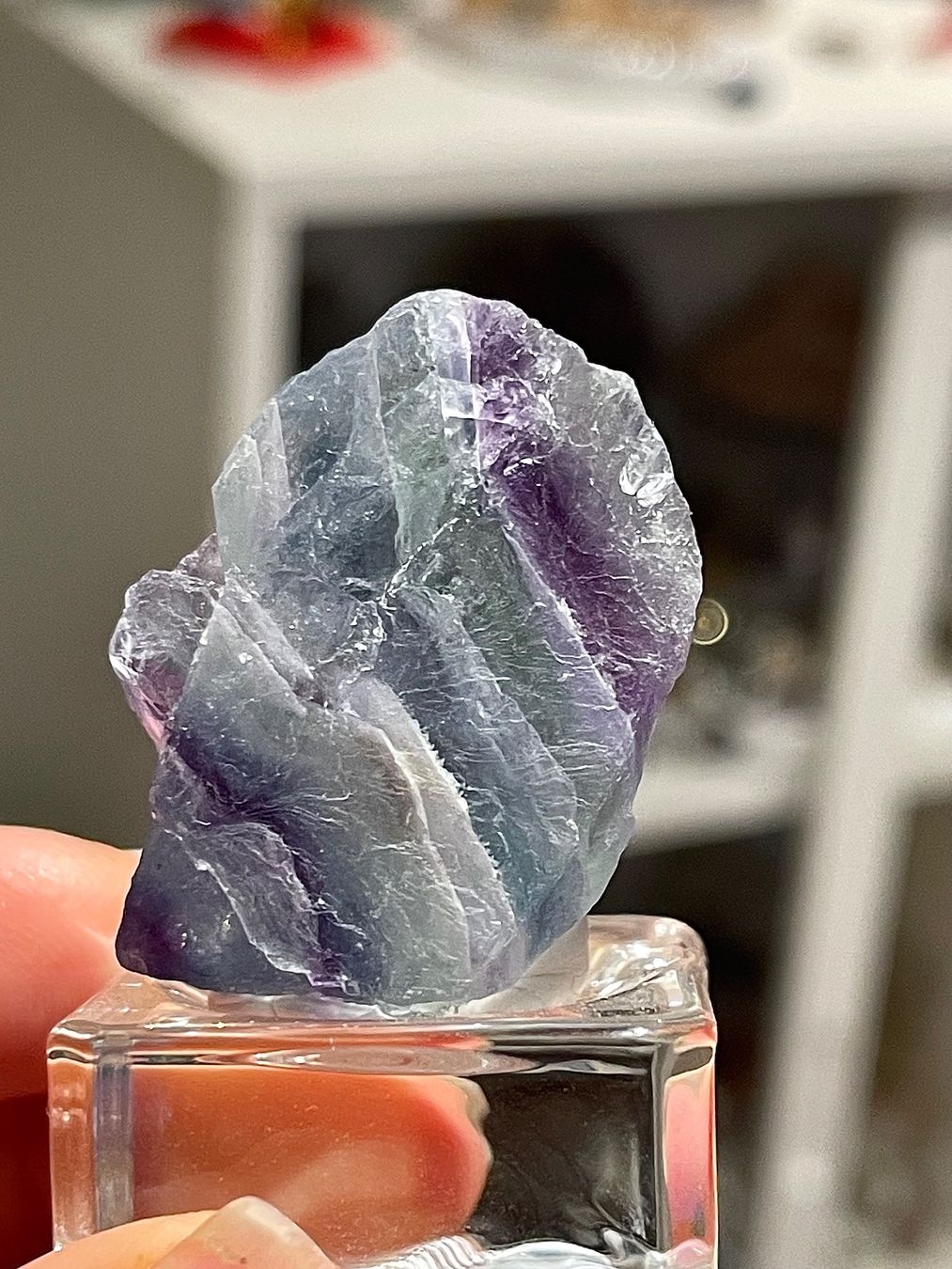 Mineralien & Heilsteine: 100 % echter, seltener Regenbogen-Fluorit – Neu und originalverpackt aus Schiers von sisikristall