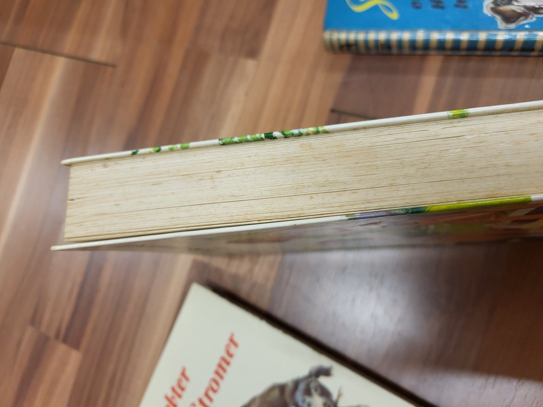 Libri: 5 ältere Lesebücher B3 – Usato da Schwarzenburg venduto da Flamingo07 2