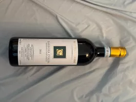 Rotwein Silvio Grasso Barbera d'Alba 2013 75cl