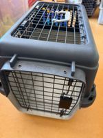 Hundereisebox fürs Auto