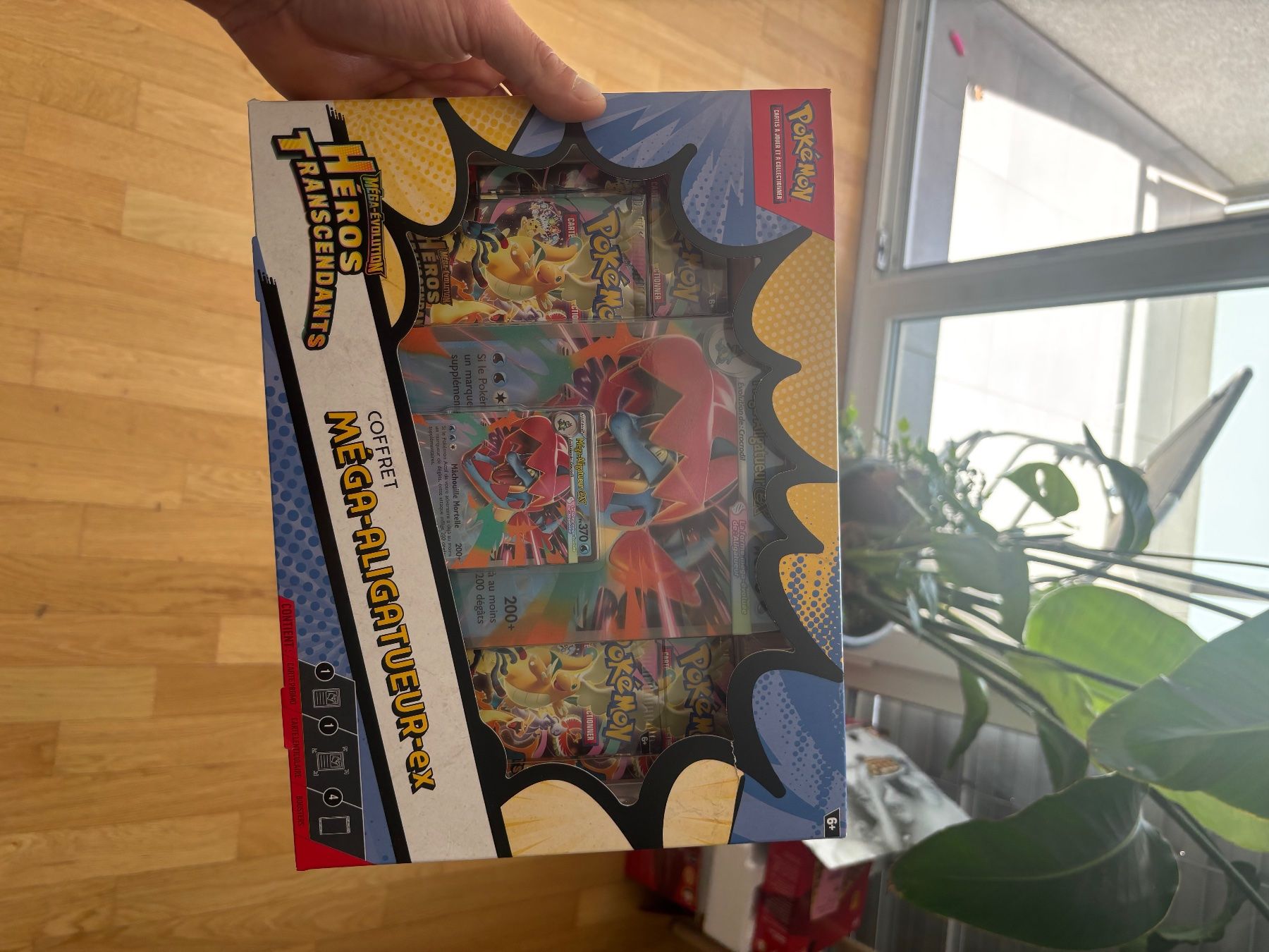 Pokémon Carte collezionabili: Coffret mega aligatueur me2,5 – Nuovo e nell'imballaggio originale da Sion venduto da Pokexpert