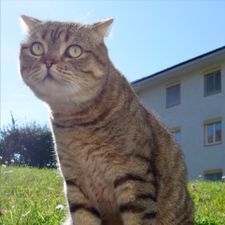 Profile image of ern_sn72