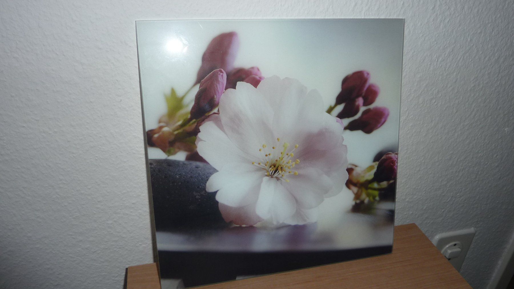 Poster & Bilder: leinwand bild  orchidde – Neu (gemäss Beschreibung) aus Füllinsdorf von pmarkus 1