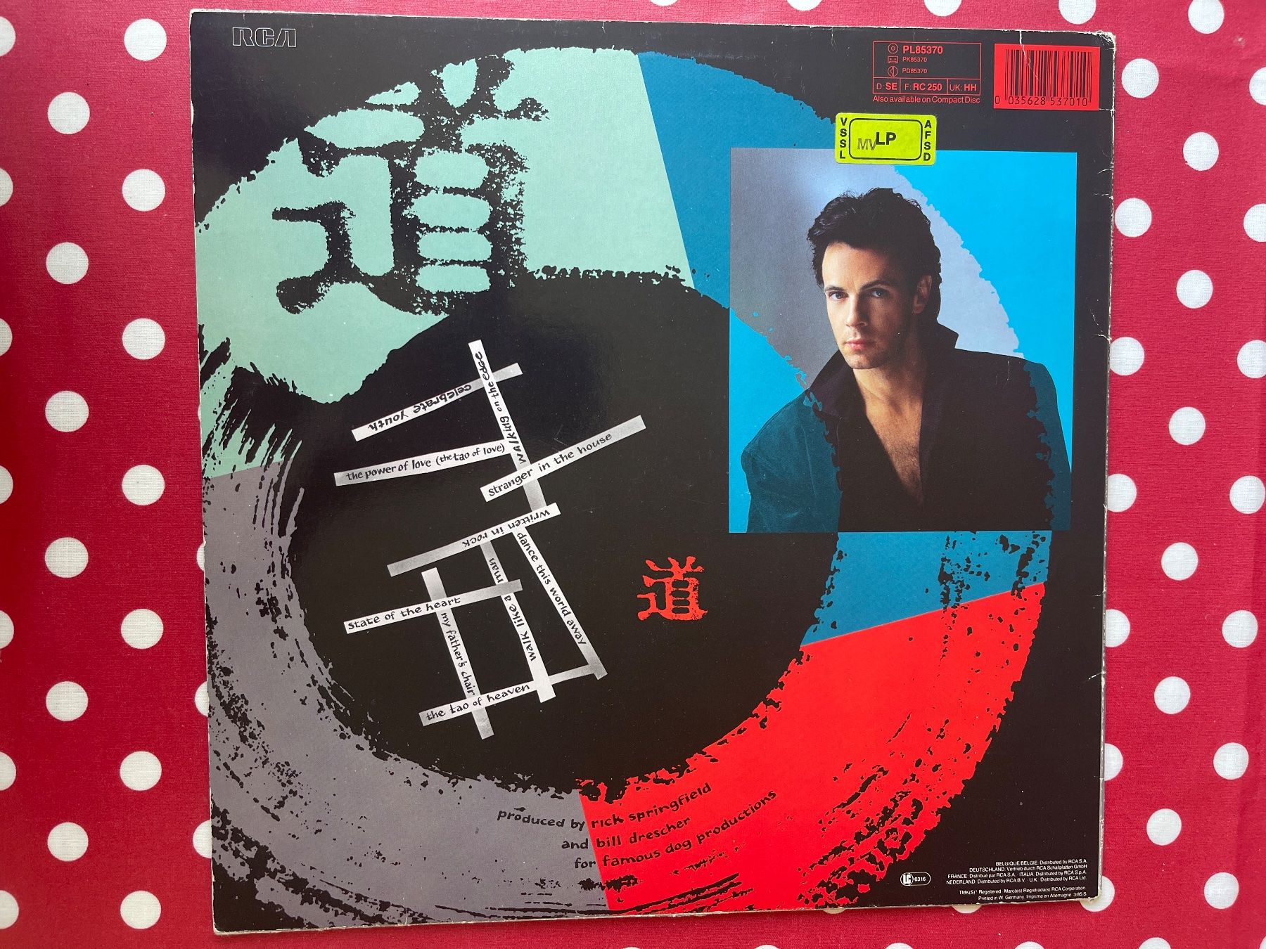 Vinyles: A497/Rick Springfield - Tao – D'occasion à Frutigen par Philippe_jsp 1