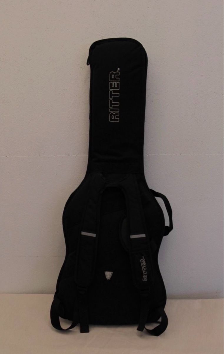 Aria Strumenti musicali: Aria STG-004 Stratocaster – Usato da Arnegg venduto da Heinz16 4