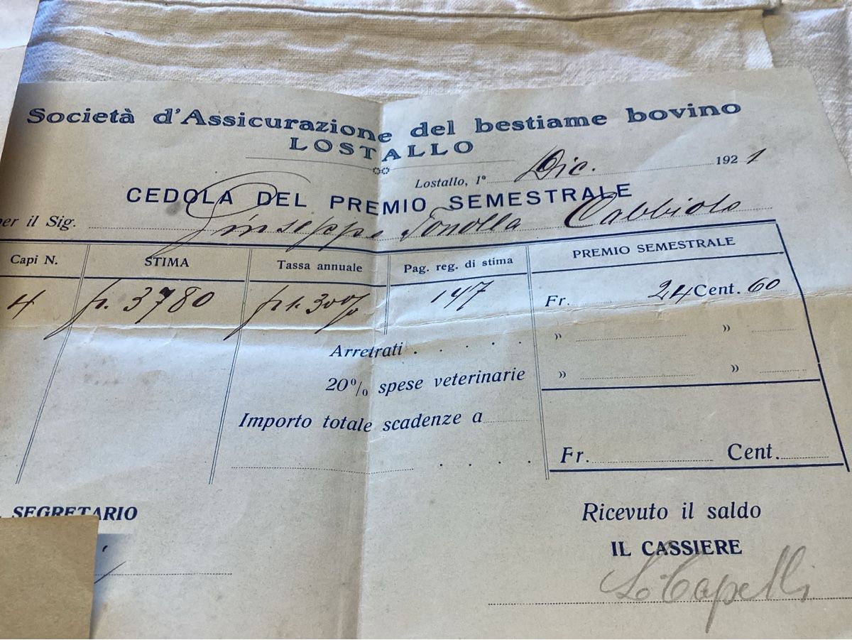 Ansichtskarten: Lostallo 4 documents 1901 A 1921  intéressant – Gebraucht aus Luc (Ayent) von Rebouille 2