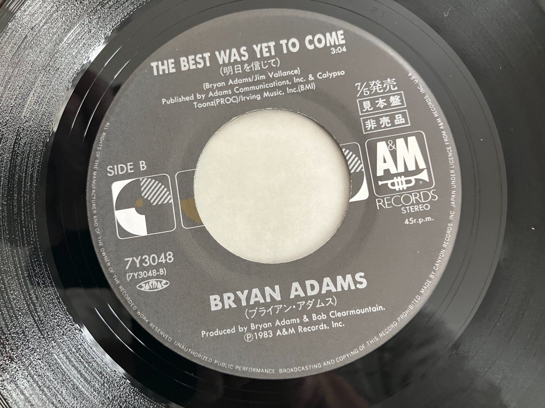 Dischi in vinile: Bryan Adams – Usato da Aarwangen venduto da Jukebox3 7