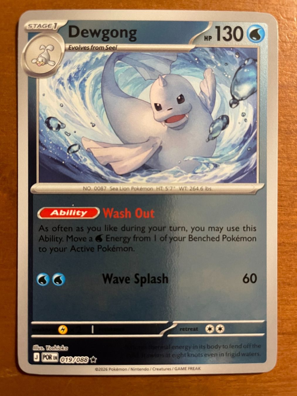 Pokémon Carte collezionabili: Pokemon Dewgong Reverse (Versand gratis) – Nuovo (secondo la descrizione) da Chur venduto da Angerson