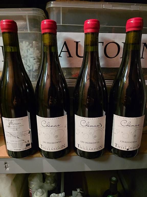Vino: Chénas "les blémonts" – Usato da Genève venduto da Luca.23