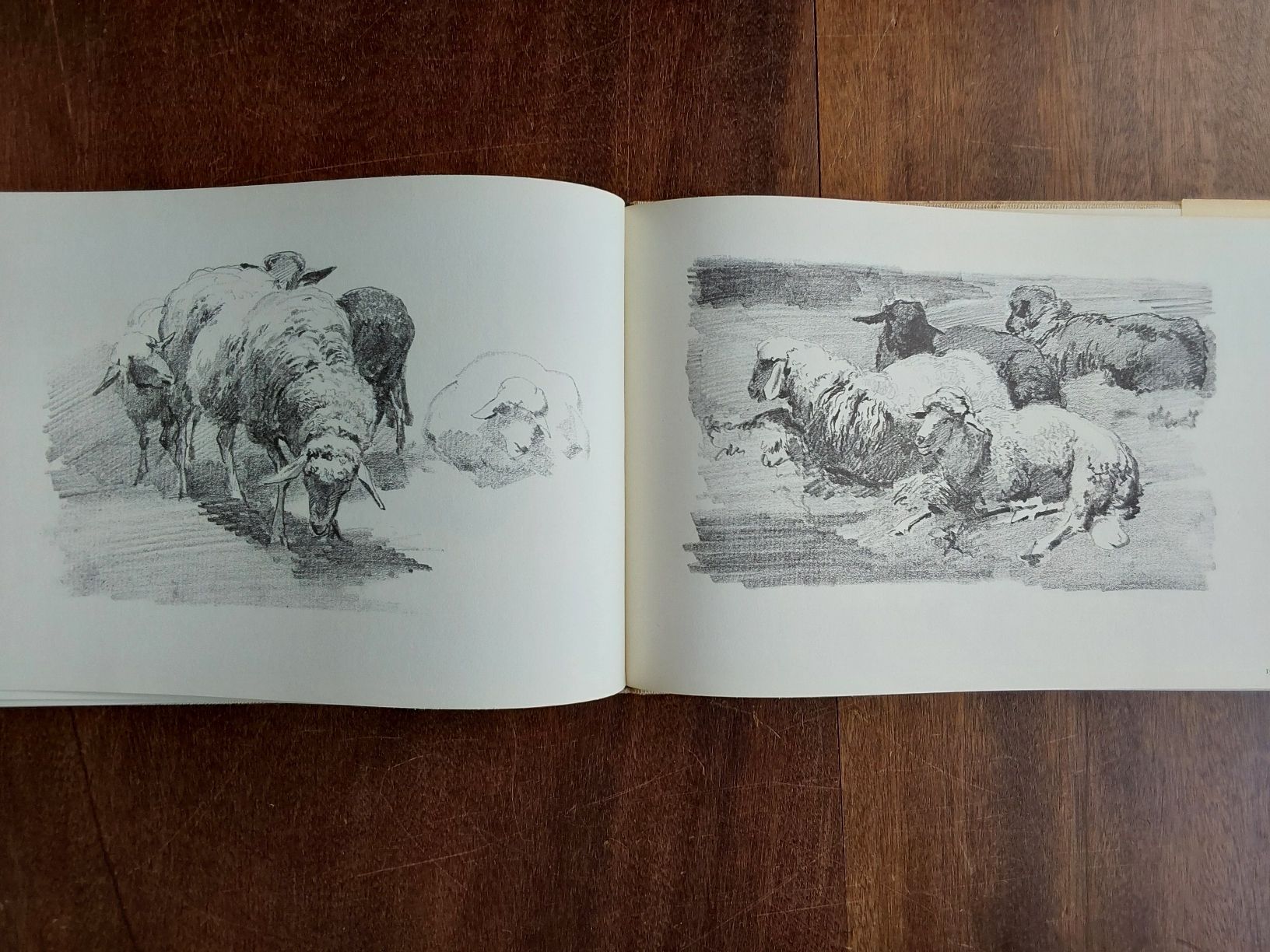Livres: Rudolf Koller 1966 mit 50 Seiten. – D'occasion à Steinach par Chilli1957 5