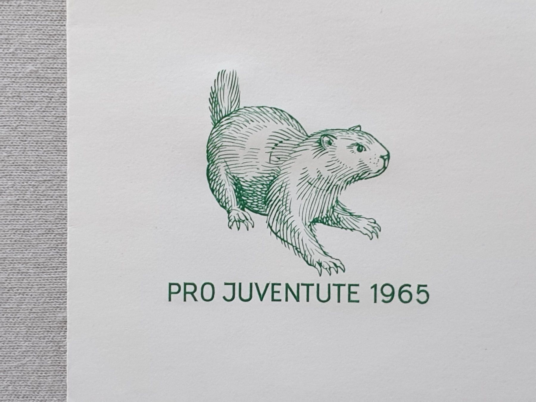 Tutti i francobolli: (12)   Pro Juventute 1965 mit ET Stempel – Usato da Schwarzhäusern venduto da Inot3 8