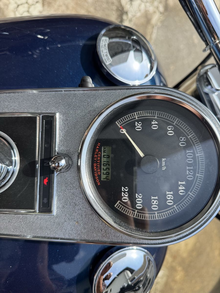 Harley-Davidson Chopper: Harley-Davidson Foftail Fat Boy Slim – Usato da Minusio venduto da Eccarrion 7