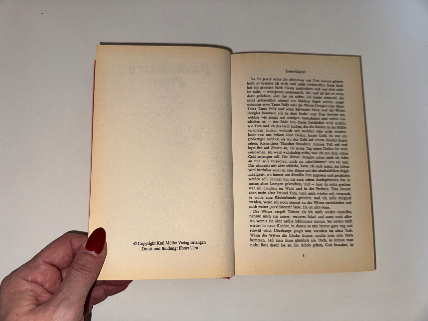 Libri: BUCH: Mark Twain, Huckleberry Fynn – Usato da Grosswangen venduto da Kleine.Knoepfe 2