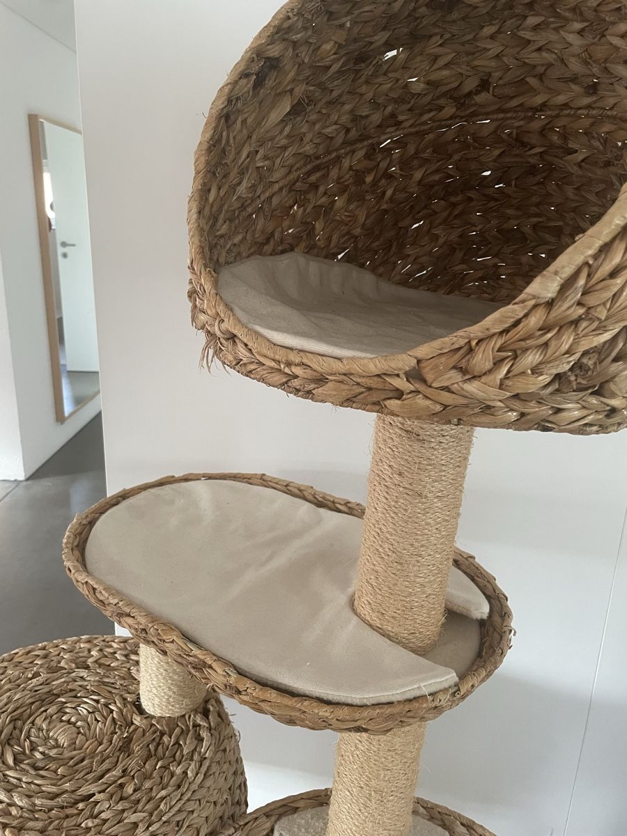 Katzenbaum - Kratzbaum: Arbre à chat – Gebraucht aus Malleray von luc_f6ds 1