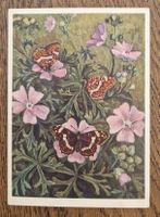 Kunst- u. Naturkarte mit Schmetterlingen 1954