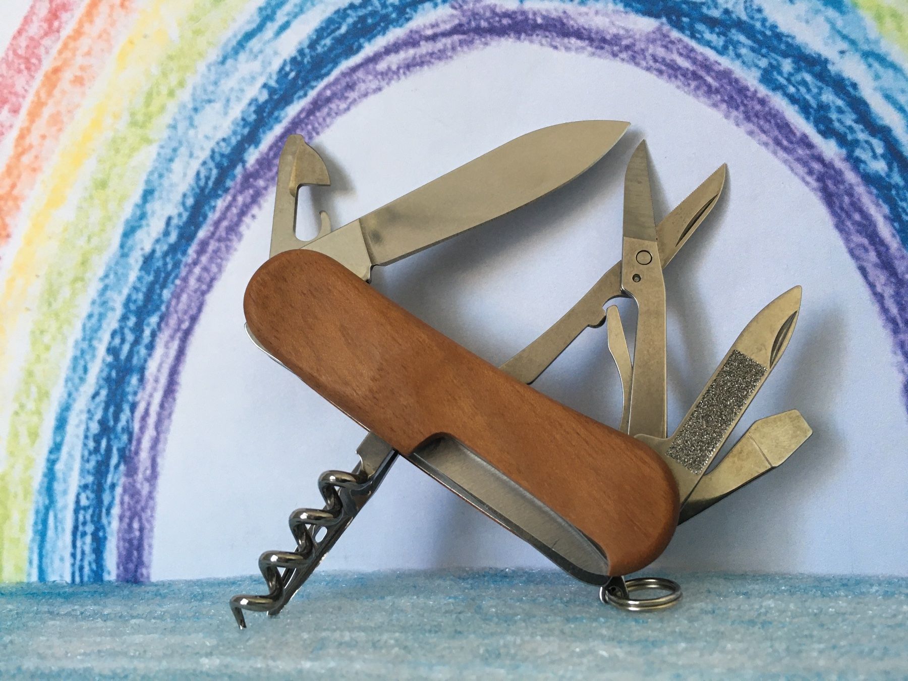 Victorinox Coltelli tascabile: VICTORINOX - Evolution Wood - Sackmesser - BKW – Usato da Andwil SG venduto da Rainboli 3