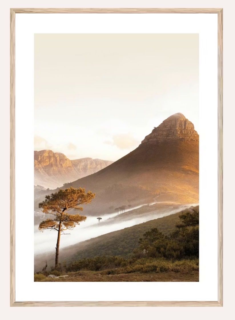 Foto & Immagini: 4 schöne Poster 70 x 100cm – Usato da Zürich venduto da sim_j8hh 3