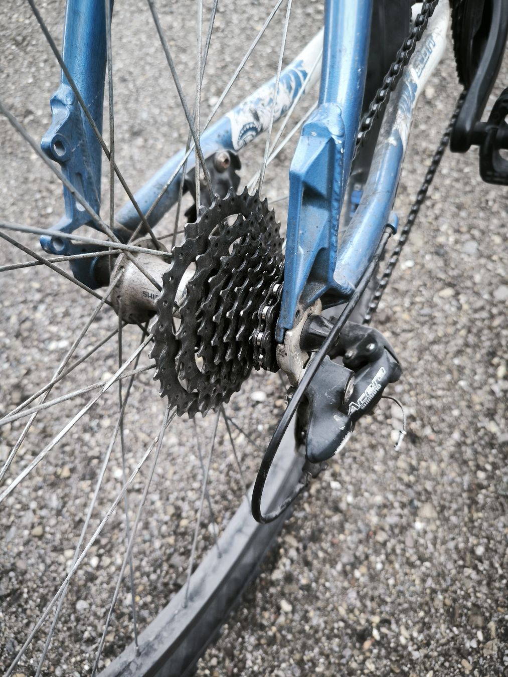 Scott Biciclette: Scott Contessa 26  gebraucht – Usato da Rüthi (Rheintal) venduto da Boschacat 5