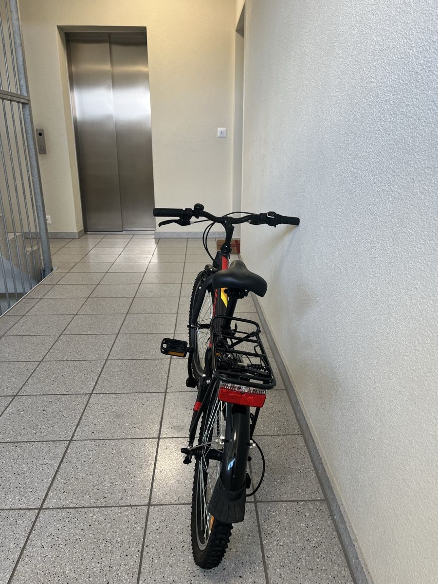 Leopard Biciclette: Velo 20 Zoll Leopard Flash cat 20 – Usato da Zürich venduto da Chloemanza 2