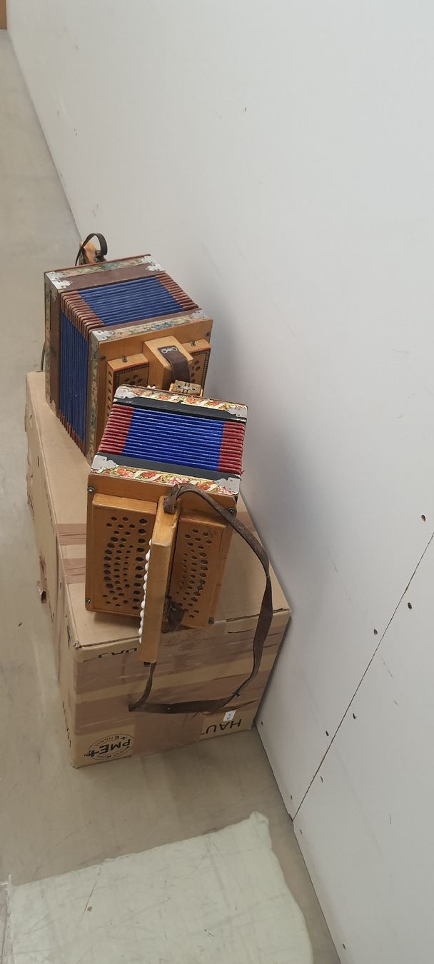 Strumenti musicali: 2 schwyzerorgeli à restaurer  – Usato da Pont-de-la-Morge venduto da Mirabelle0 9