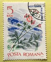 Briefmarken aus Rumänien gestempelt  Siehe Original Fotos. 