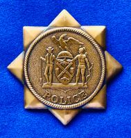 **USA Polizeistern Bronze in Top Qualität **