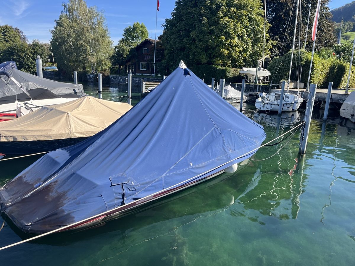 Sea Ray Boote: Sea Ray Ski Ray Wassersport Boot – Gebraucht aus Greppen von Slik21 8