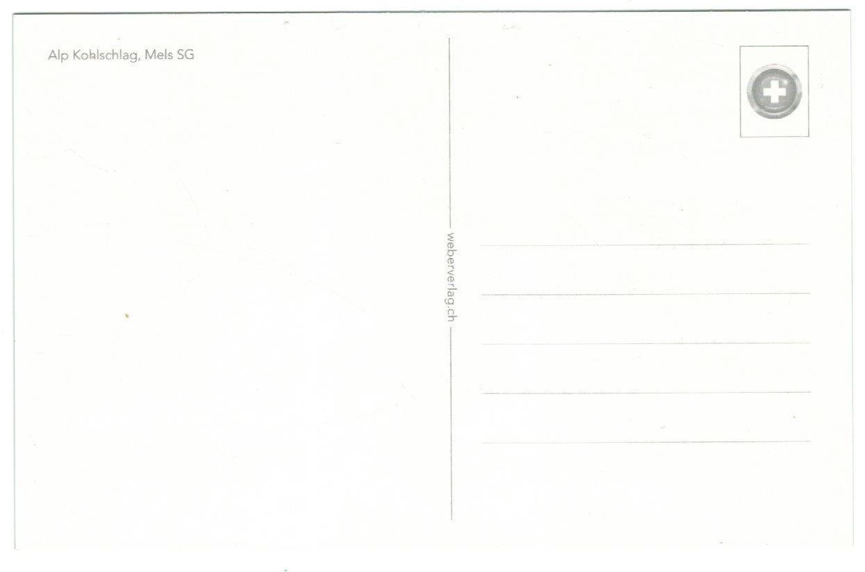 Cartoline postali: AK Alp Kohlschlag, Mels – Nuovo (secondo la descrizione) da Zürich venduto da Tolima194 1