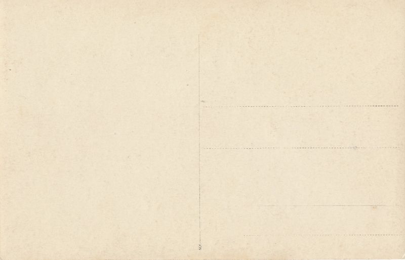 Cartoline postali: Zürich - Defilee 2 + c1915 – Usato da Emmenbrücke venduto da teestube 1