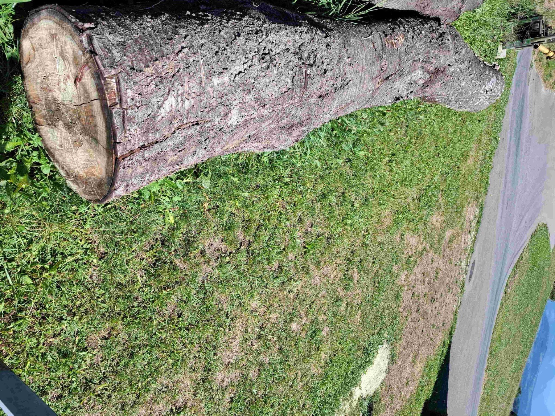 Holzartikel: Baumstamm Kirschbaum – Gebraucht aus Rain von Rigi10 1