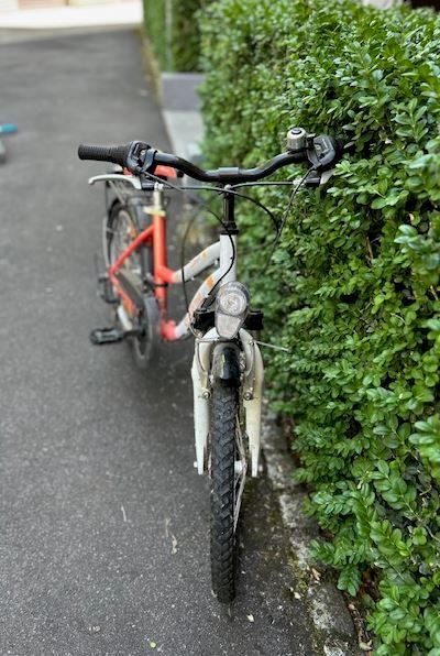 Biciclette: Kindervelo – Usato da Zug venduto da gen_2vrm 2