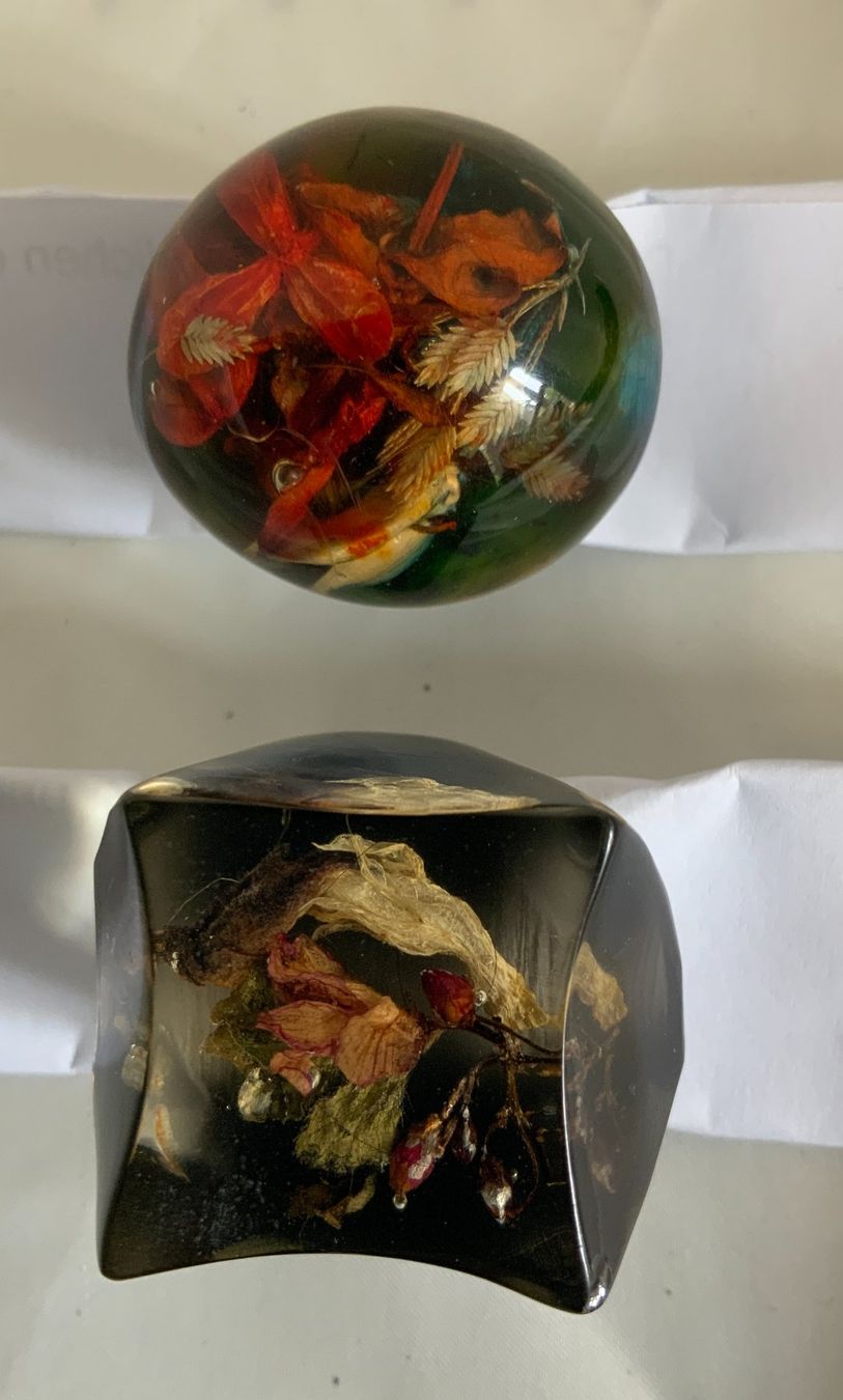 Anelli: Fingerringe, Kunstharz mit Blumen, 2 Stk. – Usato da Zürich venduto da Drahtzug