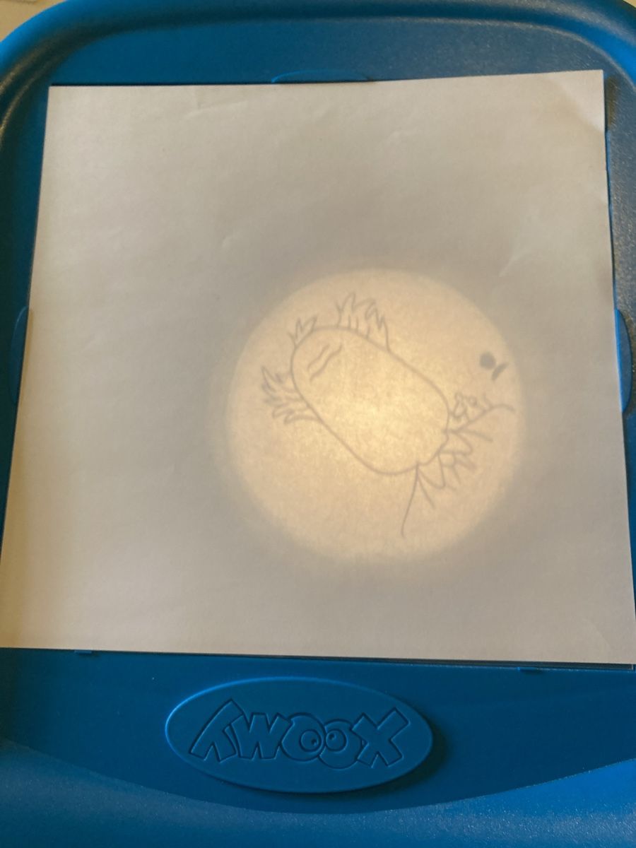 Giocattoli: Table à dessin – Usato da Orbe venduto da Jade333 5
