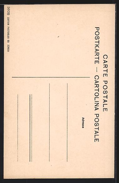 Ansichtskarten: Montreux /Berner Oberland, Panorama mit  – Gebraucht aus Berlin von bartko-reher 1