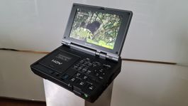 HDV GV-HD700
