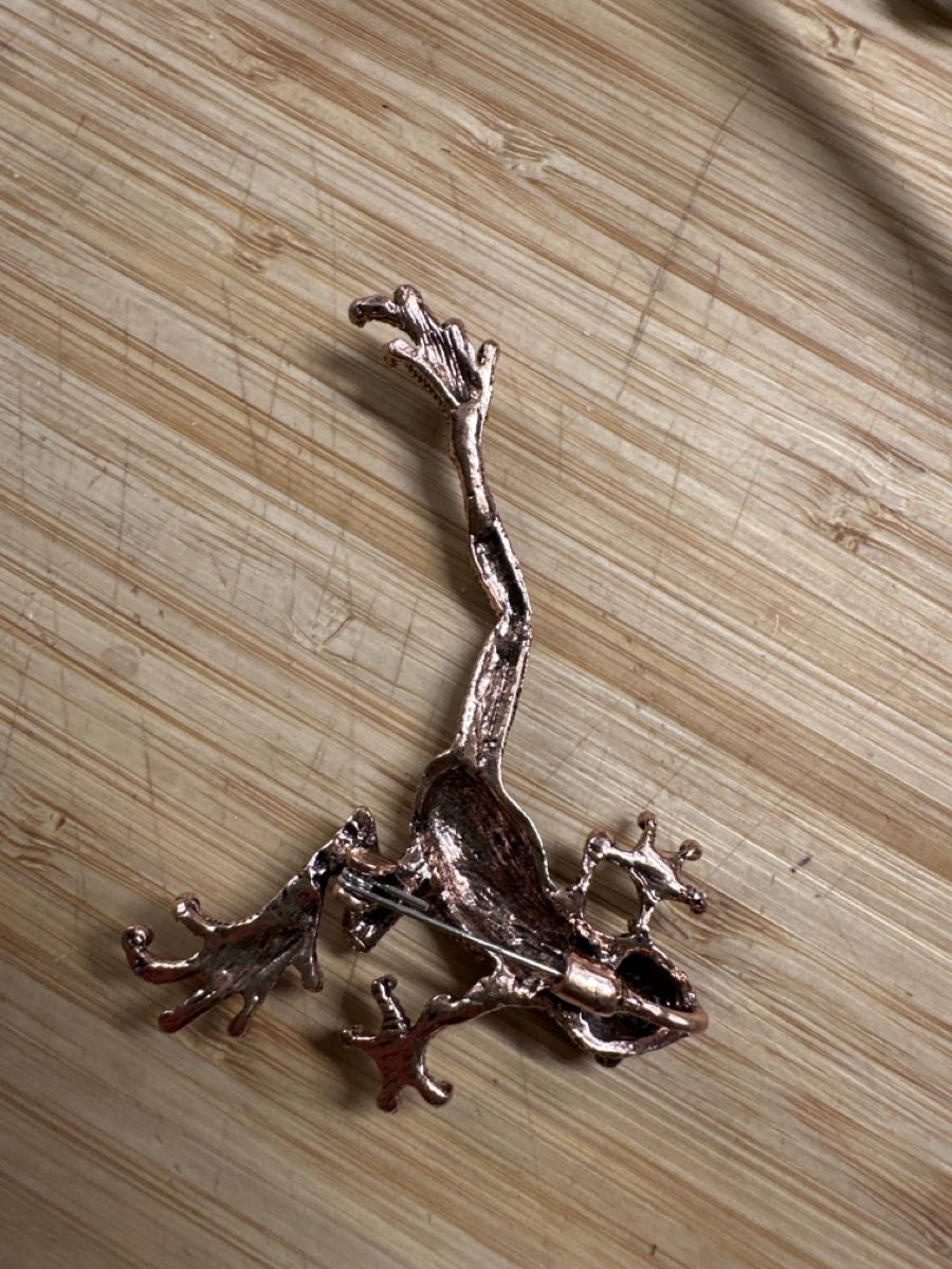 Spille & Fermagli: Frosch Brosche bronce mit Strassteinen – Nuovo (secondo la descrizione) da Trüllikon venduto da angela4444 2