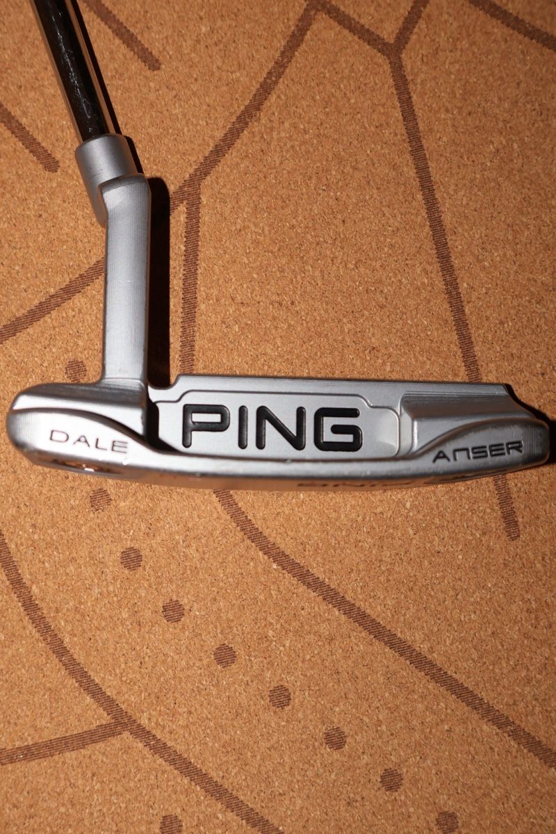 Ping Schläger & Sets: Premium Ping Dale Anser Putter – Neu (gemäss Beschreibung) aus Bern von Golf_Albert 1