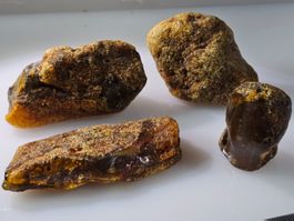 15,7gr Rohbernstein lot 4st echt Roh Bernstein baltisch raw
