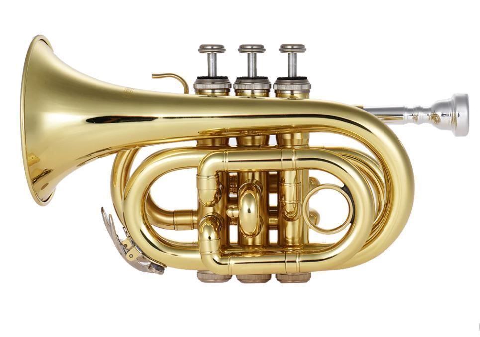 Strumenti musicali: Mini Taschentrompete – Nuovo (secondo la descrizione) da Chur venduto da _xtronix_ 4
