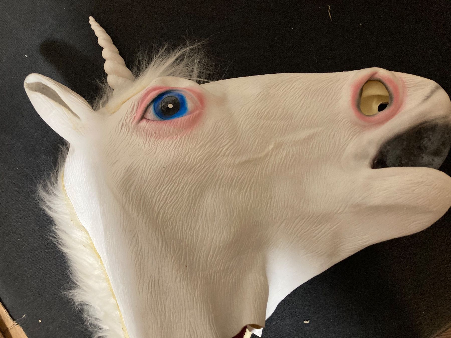 Maschere: Einhornmaske von Boland – Nuovo (secondo la descrizione) da Münchenstein venduto da Patience 3