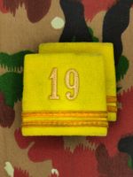 Schulterpatten Ord. 1949 Oberleutnant, Bat 19, Set