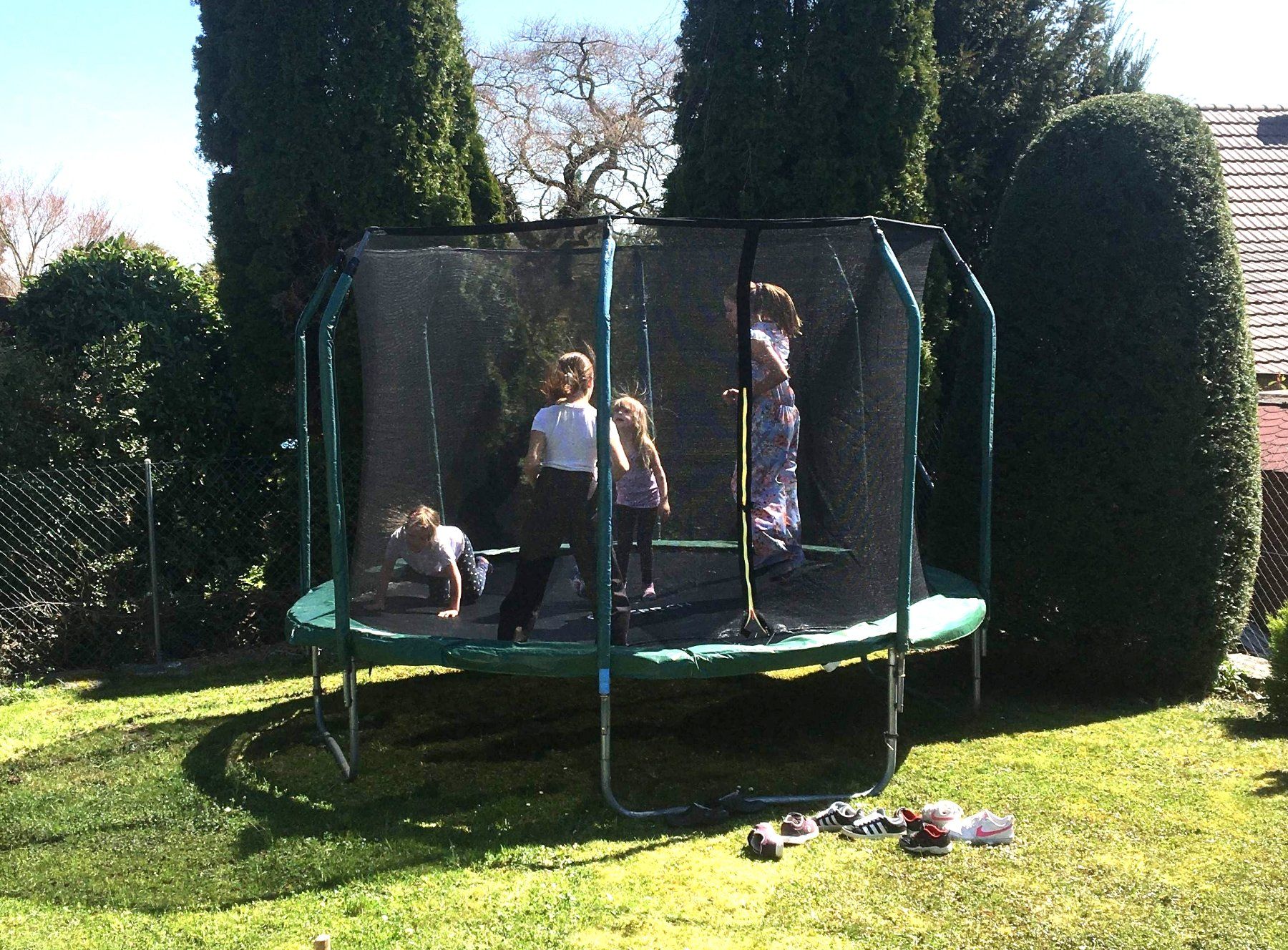 Trampolini: Trampolin 3.3m, revidiert – Difettoso da Steinmaur venduto da techcollector 2