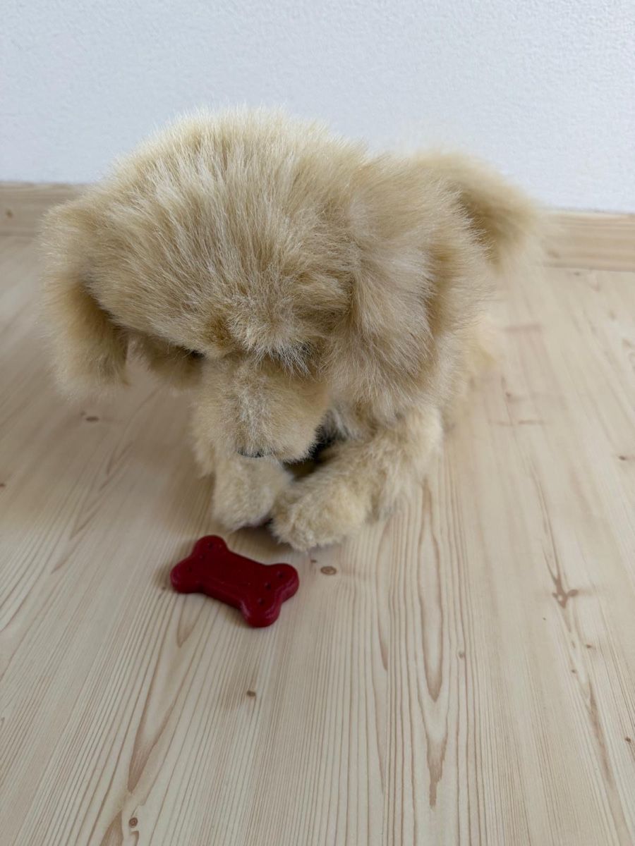 FurReal Giocattoli: Furreal Hund Scamps – Usato da Beinwil (Freiamt) venduto da Zpower 1