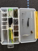 Köder mit Box