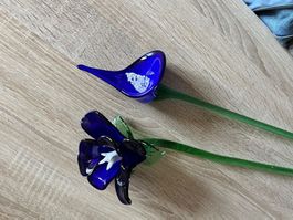 Glasblumen