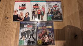 The Big Bang Theory 1-5