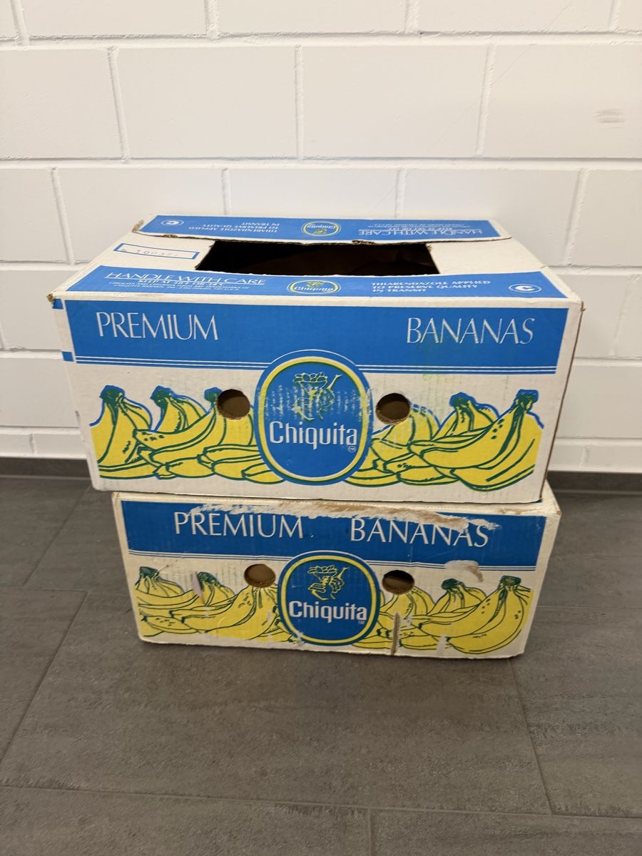 Cartoni: 2 Bananenkisten – Usato da Lyss venduto da Onkel_Titus