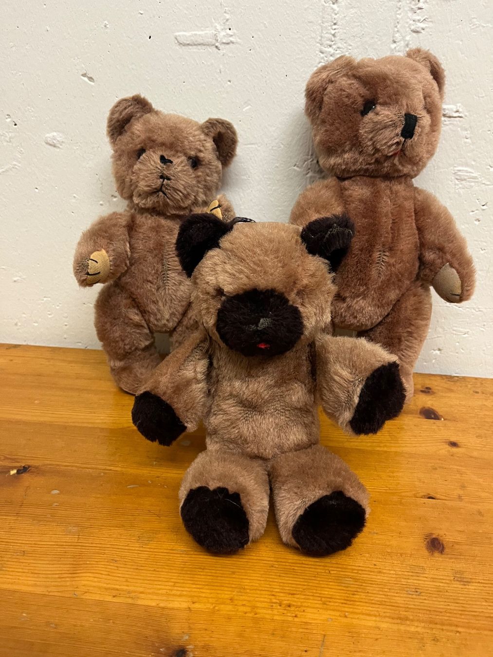 Giocattoli: Teddy Bären aus den 60er Jahren – Usato da Richterswil venduto da Paris10 5