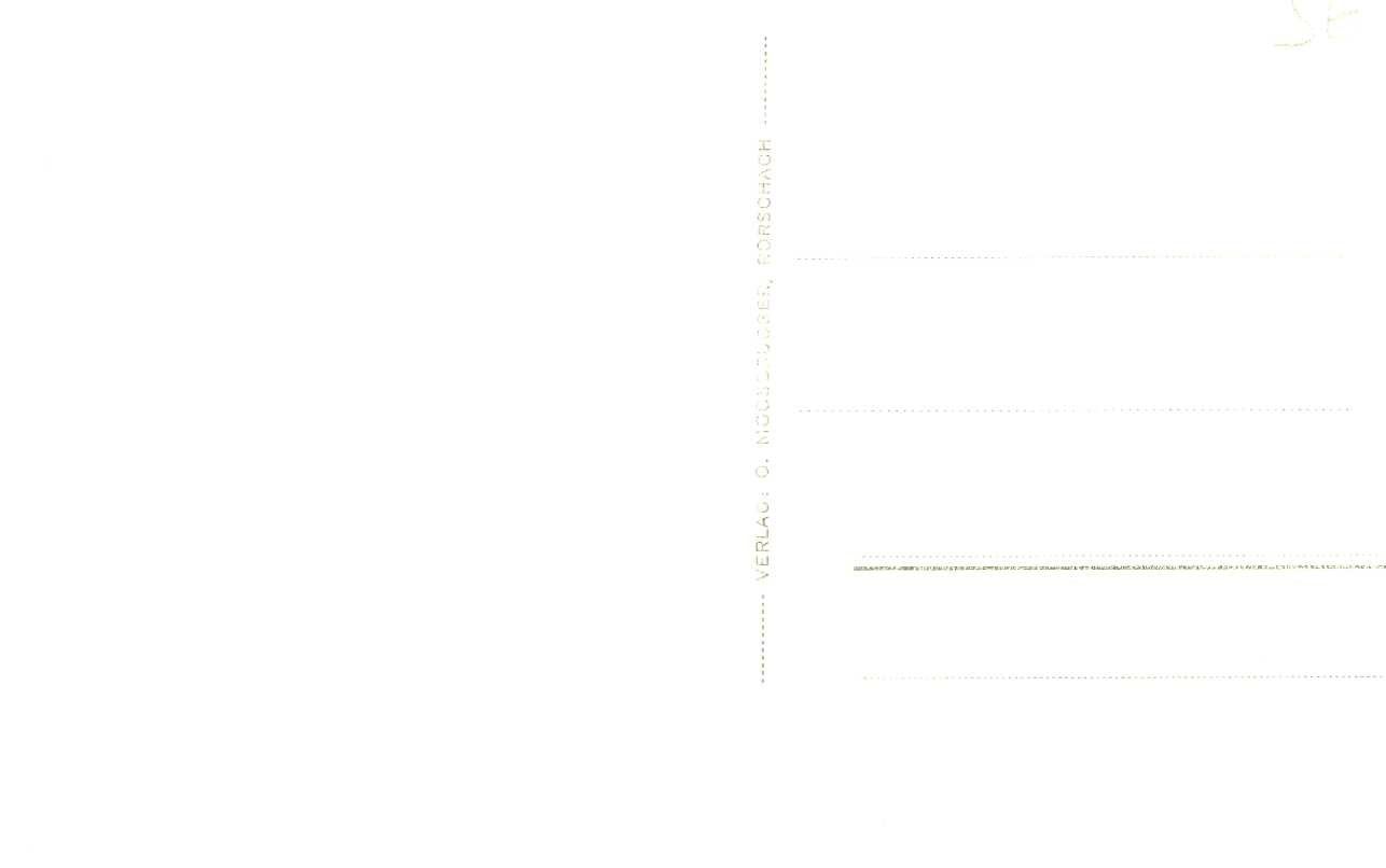 Cartoline postali: Rorschach 2 Karten 1x 1902 ungelaufen – Usato da Dallenwil venduto da montem63 3